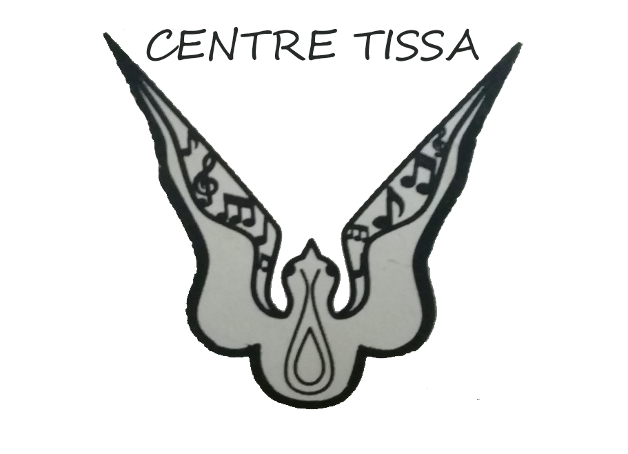 Centre Tissa Essaouira riad Essaouira hotel 